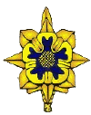 Military Intelligence pin