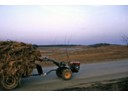 Rice straw transport