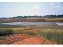 Farmer using walking irrigation water wheel