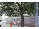 Streets of Seoul
