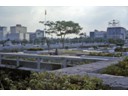 Gardens near Rizal Park