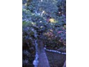 Garden trail at Pagsanjan Falls Lodge