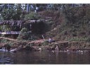 Child playing on river bank