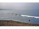 Not big waves, but big enough for surfing