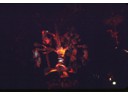 Tiki Room show