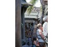 Tiki Room