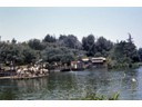 Mike Fink Boats