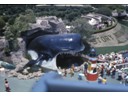 Storybook Land Whale