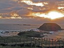 Phillip Island
