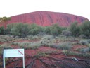 Sun Rise at Ayers Rock-Uluru