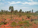 Uluru National Park
