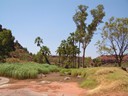 Palm Valley