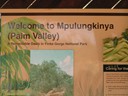 Palm Valley