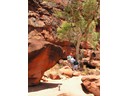 Hiking Palm Valley