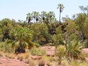 Hiking Palm Valley