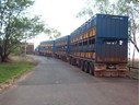 Road Train in Darwin