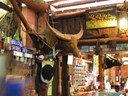 Water Buffalo