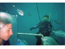 Under the Sea