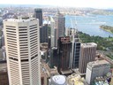 Sydney Tower view