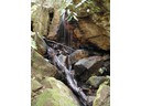 Blue Mountains
