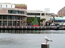 Darling Harbour