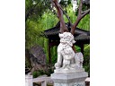 Chinese Gardens
