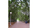 Hyde Park