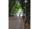 Hyde Park