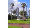 Albert Park