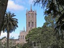 University of Auckland 