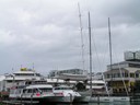 Americas Cup Village area