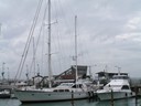 Americas Cup Village area