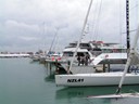 Americas Cup Village area