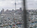 City of Auckland