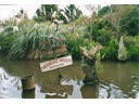 Paradise Valley Springs