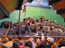 Sheep Show at Agrodome