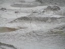 Whakarewarewa Thermal Springs