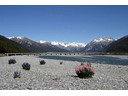 Aurthurs Pass-Waimak bridge