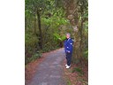Haast River Area (Pat)