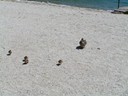 Lake Hawea