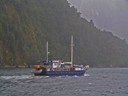 Milford Sound Cruise