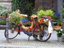 Cute bike