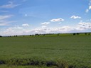 Then flat farm land