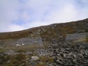 Small Reindeer herd