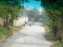 Motor Bikes everywhere