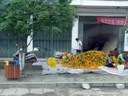 Sorting Fruit