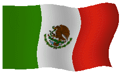Mexico Flag