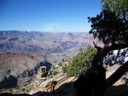 View from Watchtower