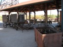 Goldfield