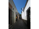 Alamos